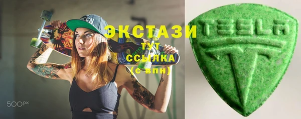 индика Заводоуковск
