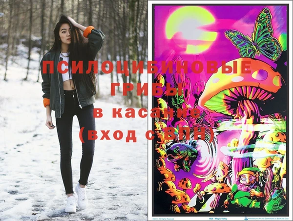 индика Заводоуковск