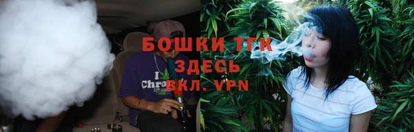 индика Заводоуковск