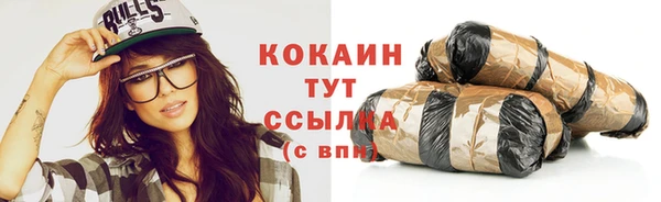 индика Заводоуковск
