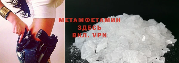 индика Заводоуковск