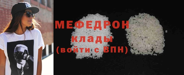 индика Заводоуковск