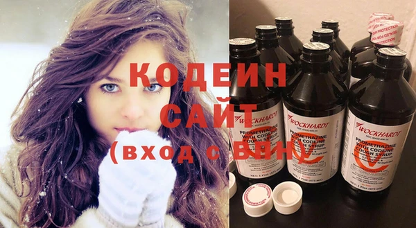 индика Заводоуковск
