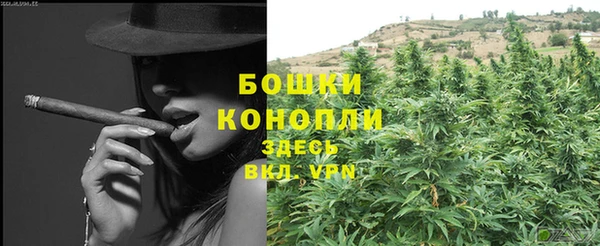 индика Заводоуковск