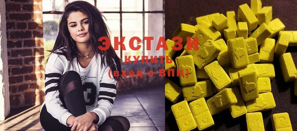 индика Заводоуковск