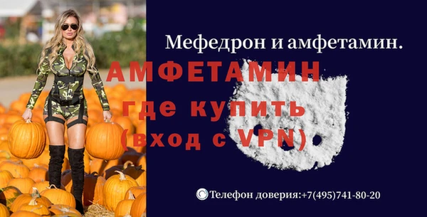 индика Заводоуковск
