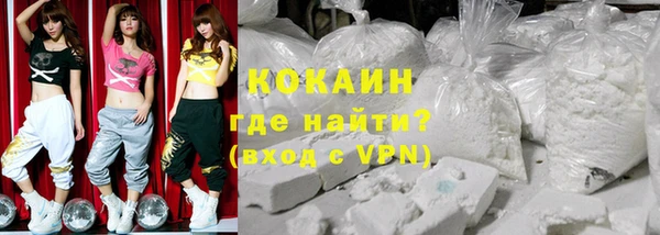 индика Заводоуковск