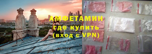 индика Заводоуковск