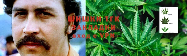 индика Заводоуковск